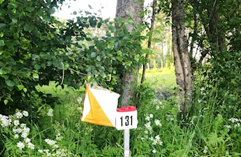 Treninger for barn/ungdom i vår