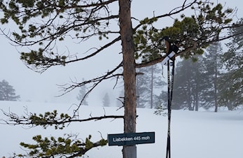 Trimboksbesøk 2019/2020