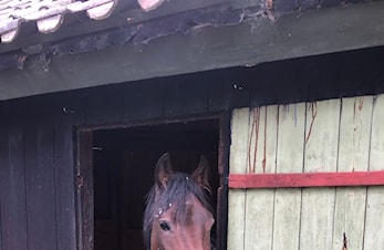 Årsmøte og middag er utsatt på grunn av Koronaviruset!