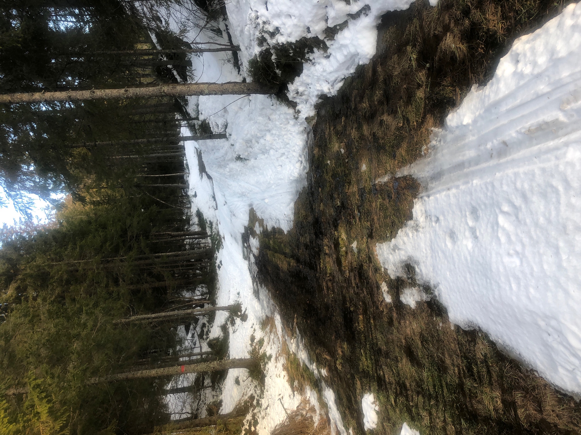 Grenaderløpet og Halvgrenaderen er avlyst