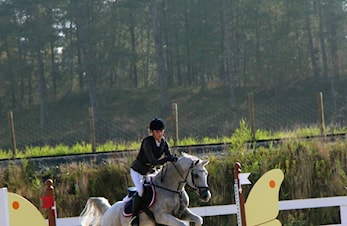 Arrangement i desember