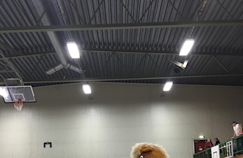 Det er dette som er idrettsglede