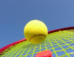 Regionen arrangerer DEMO-dag i Frognerparken lørdag 20. mai