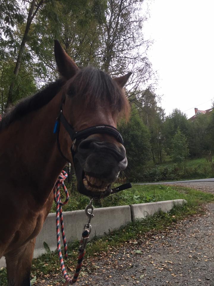 Hei og velkommen til ny hjemmeside!