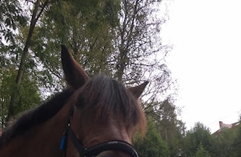 Hei og velkommen til ny hjemmeside!