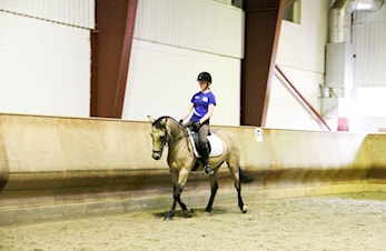 Banetrening i dressur