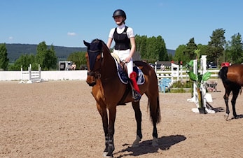 Stevnerapport fra sprangbanen!