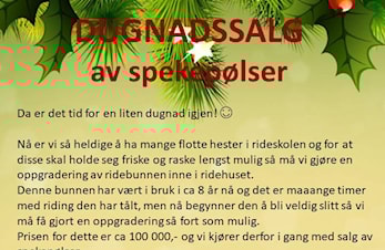 (OBS! se endringer) Ny dugnad!