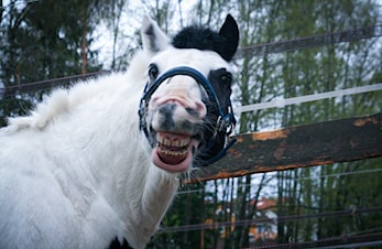 Påmeldingen for høstens kurs er åpnet!