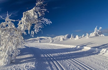Snøsamling på Beitostølen 29/11-1/12 2024