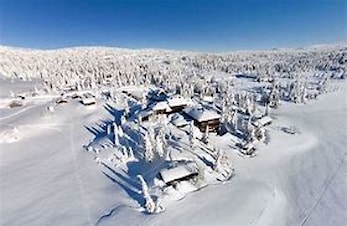 MLN BARMARKSAMLING OG SNØSAMLING 2025