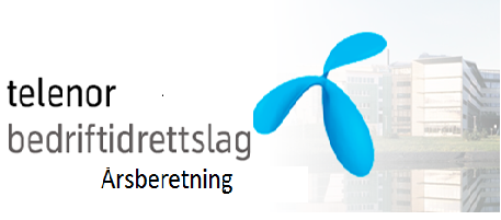 Årsberetning 2019