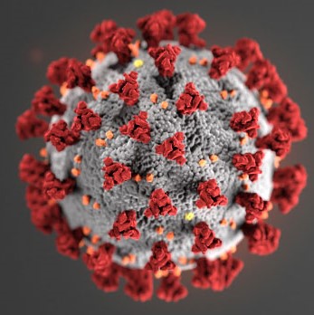 Treninger/organisert aktivitet avlyses