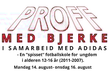 PROFF med Bjerke!