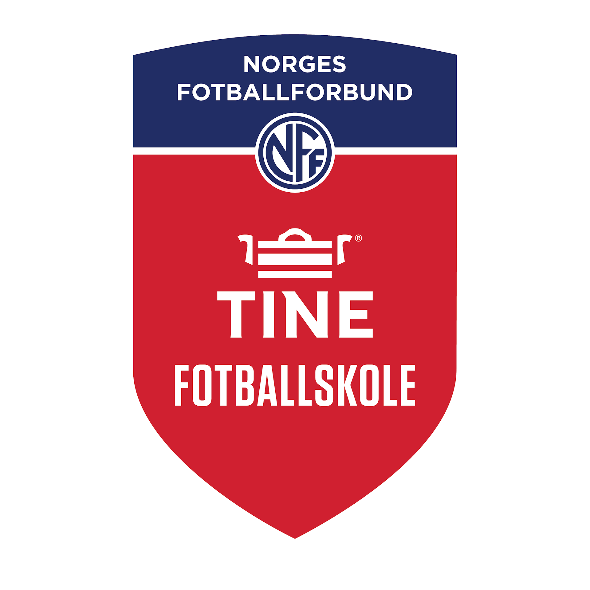 Tine fotballskole