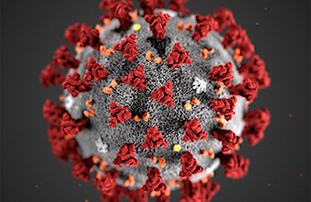 Koronavirus