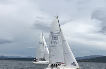 Referat fra seikro