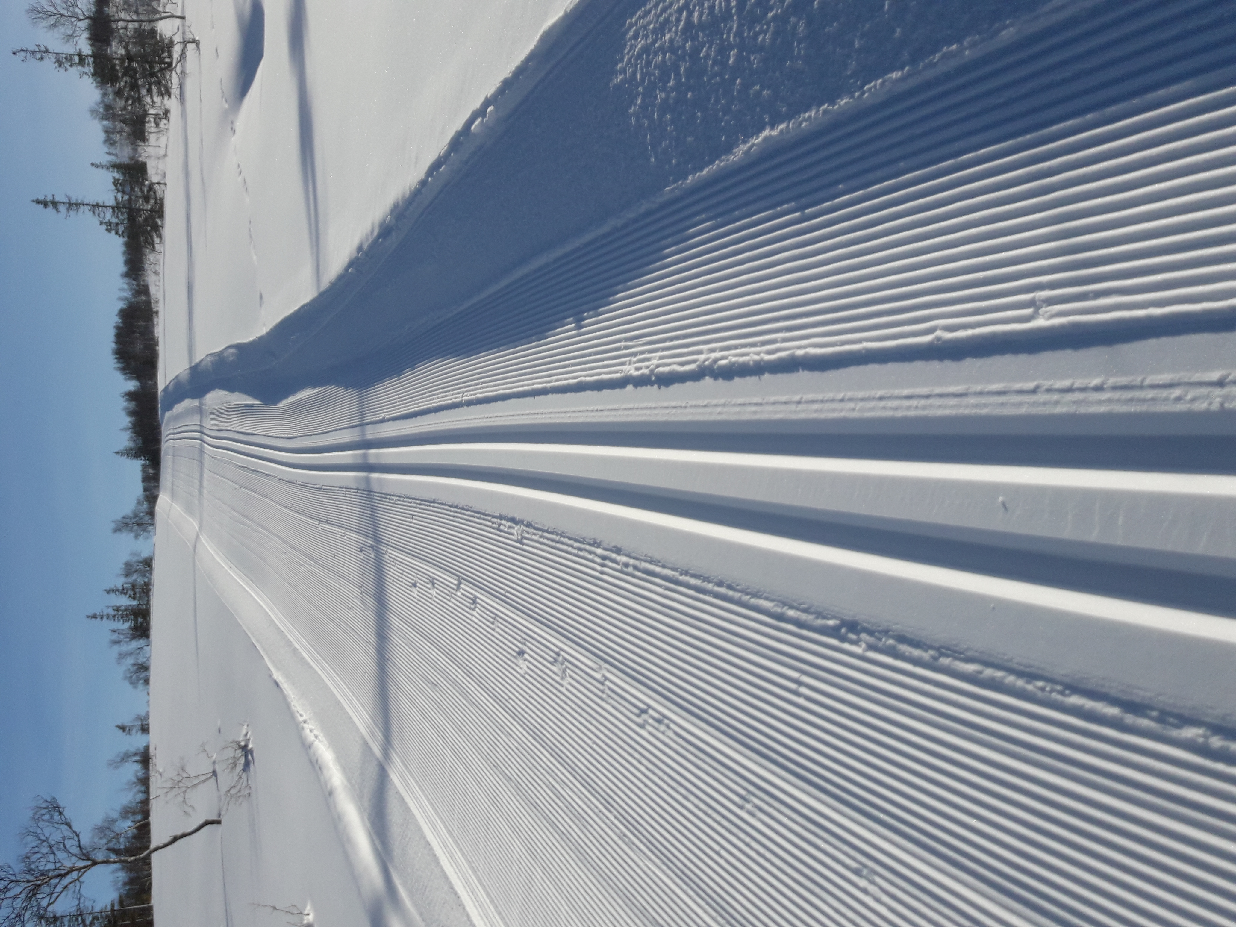 Resultater Vesterfjellrennet 2020