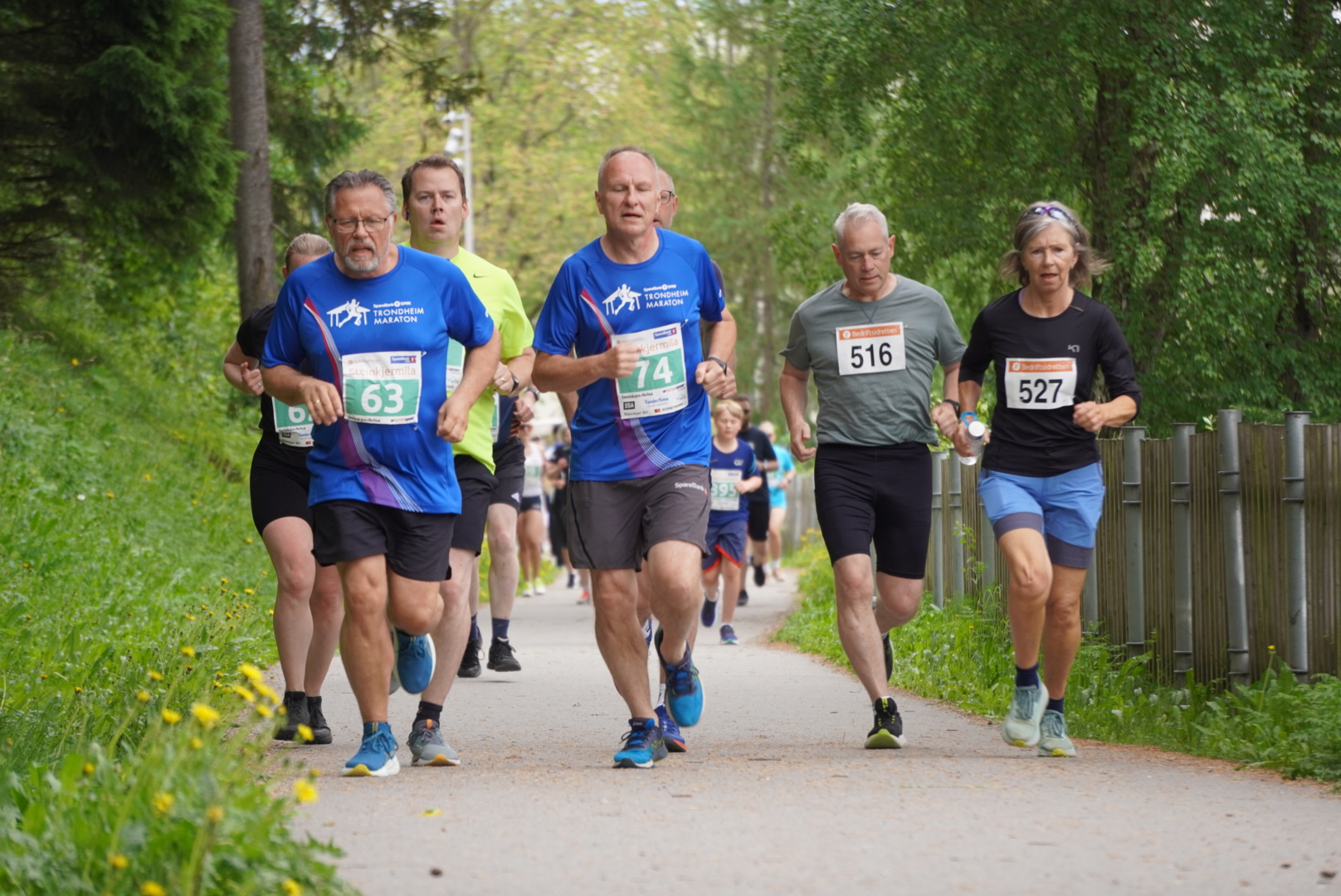 Bedriftsidrettens løp