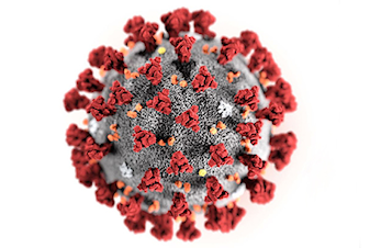 Viktig informasjon vedrørende koronavirus