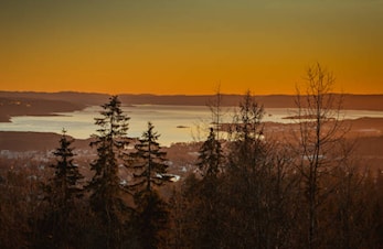 Ettermiddagstur til Vettakollen og Fuglemyrhytta