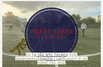 Tigers søker trenere