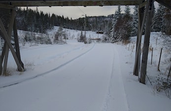 Fellestrening torsdag 2.nov på Høgås