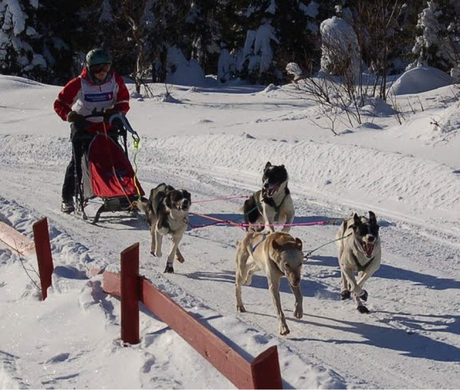 Innkalling - Årsmøtet 2020