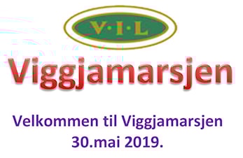 Viggjamarsen 2019
