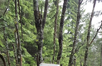 Snart er det stolper og poster i skogen