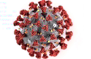 All organisert aktivitet innstilt