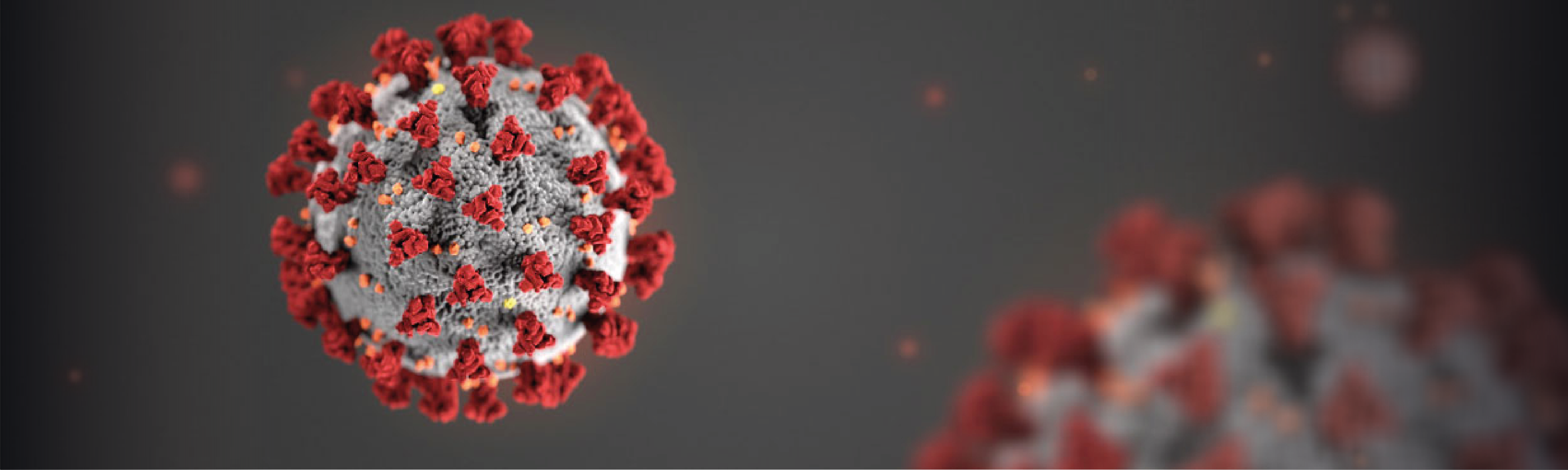 All organisert aktivitet innstilt