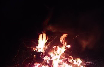 Aktiviteter i Varanger Trekkhundklubb