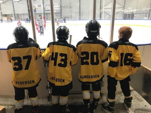 Hockey Camp 10.-13. august 2020 i Moss Ishall