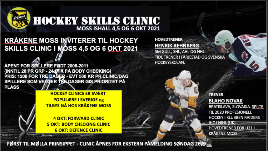 Image for Hockey Skills Clinic