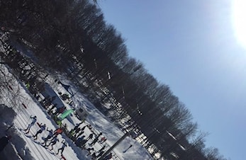 Bli medlem av Larvik Ski!
