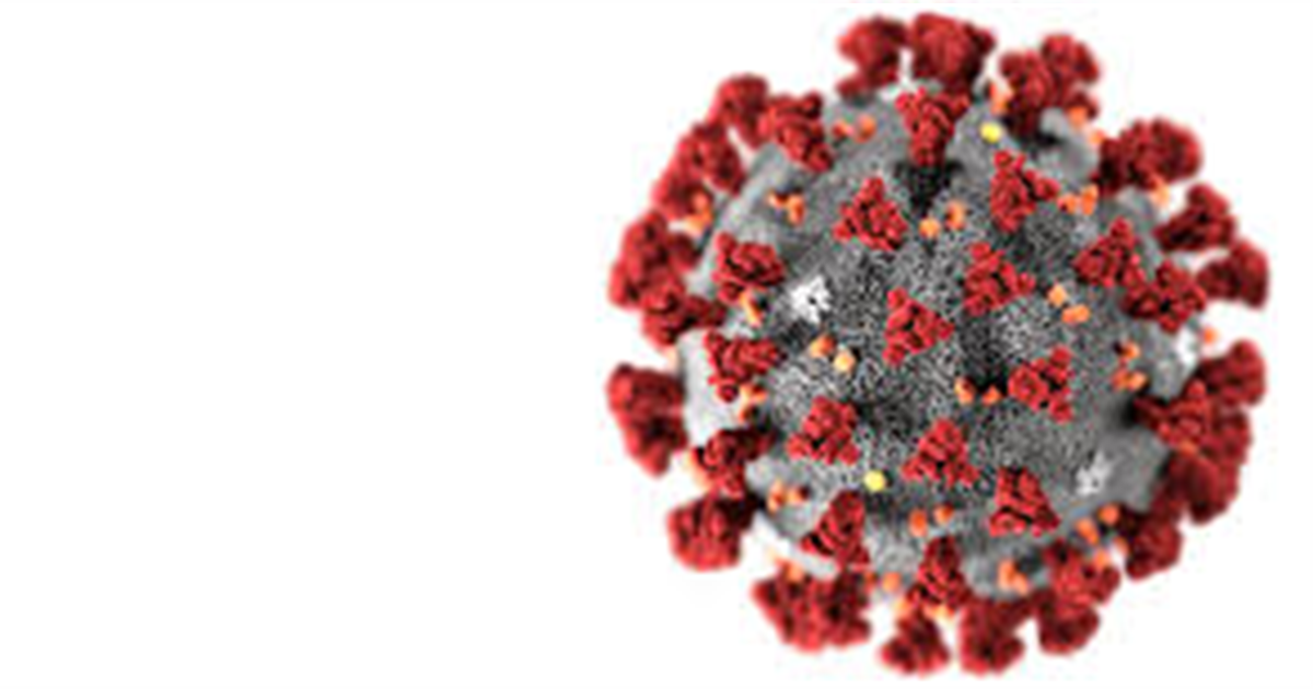 Viktig! Smittespredning og koronatiltak