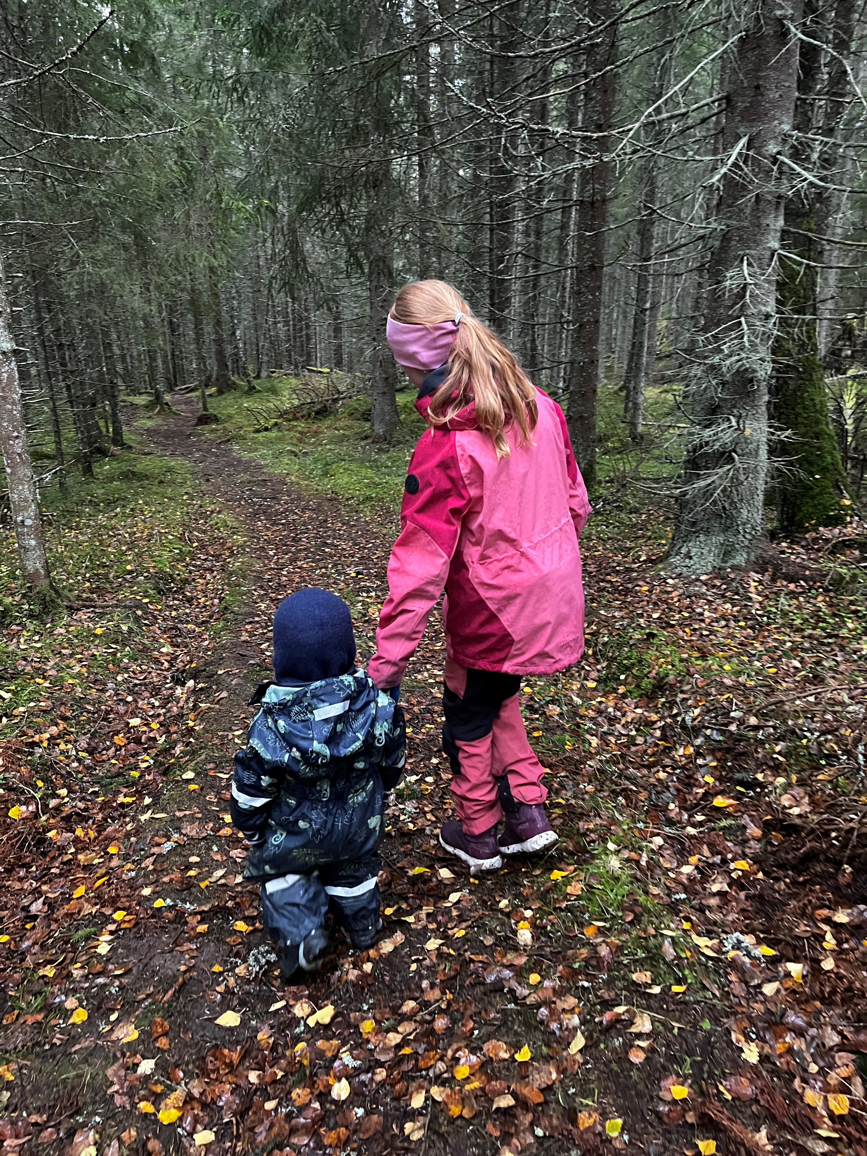 Image for Skilting av turstier og skiløyper
