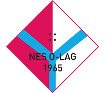 Nes Logo