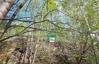 Interesse for klubbmesterskap i Felt