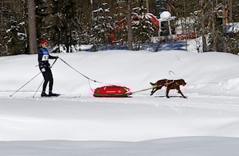 Seppalaløpet 2025
