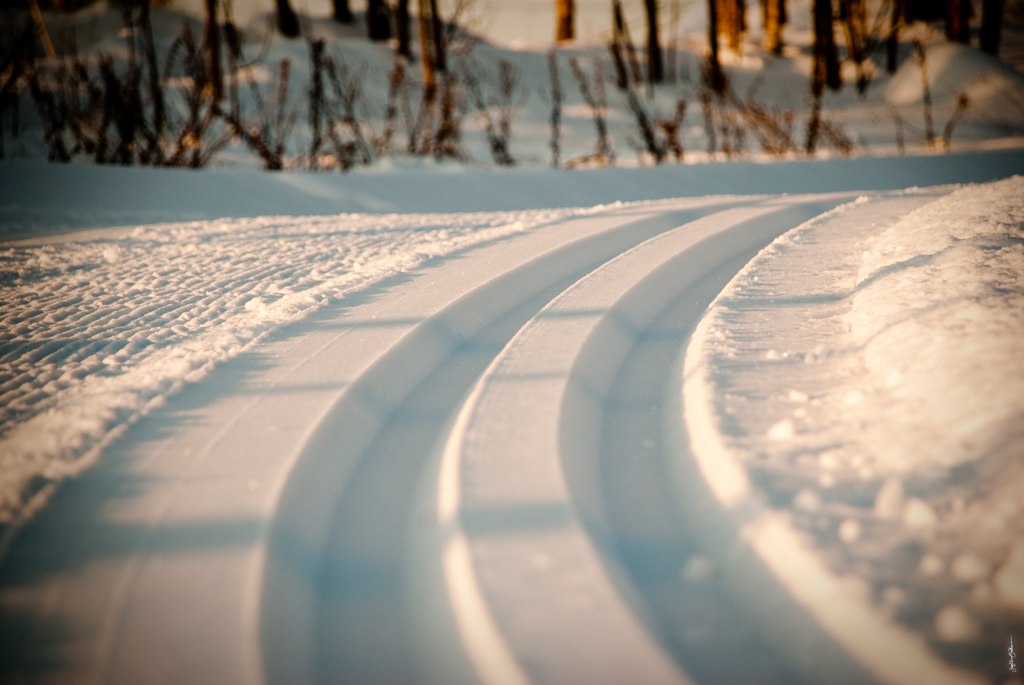 Sesongens første skirenn!