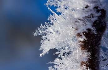 Snart avreise til Edsåsdalen - her er tidsskjema og nyttig informasjon!
