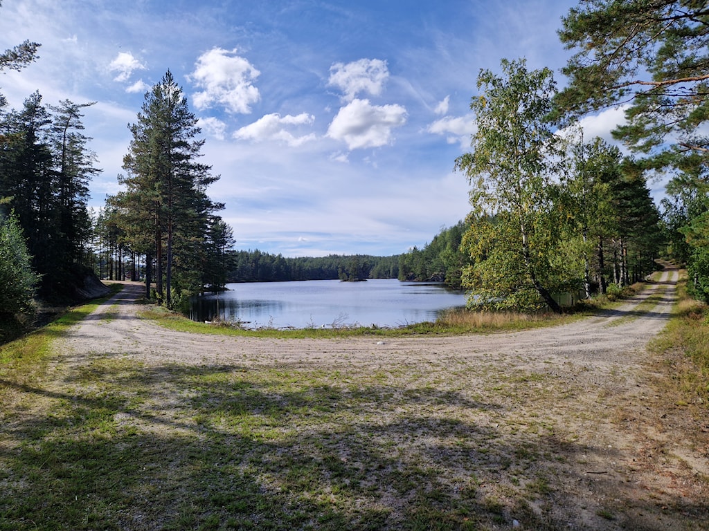 Image of a woman taking a photo.