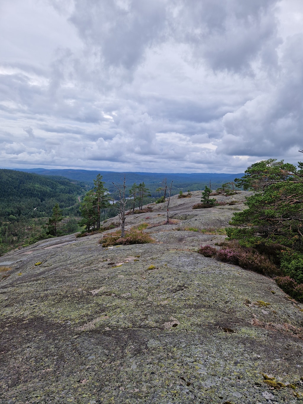 Image of a woman taking a photo.