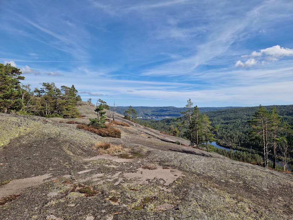 Image of a woman taking a photo.
