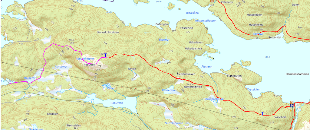 Image of a woman taking a photo.