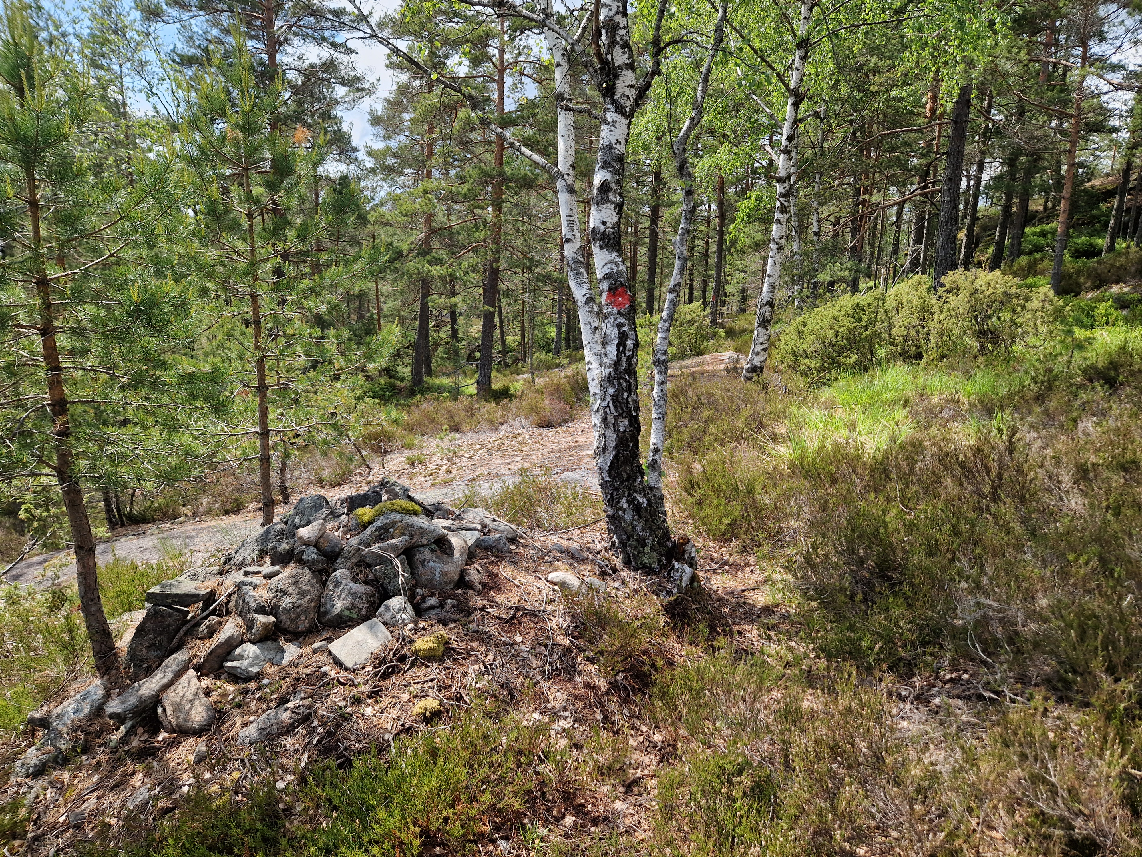 Uldalsvarpet