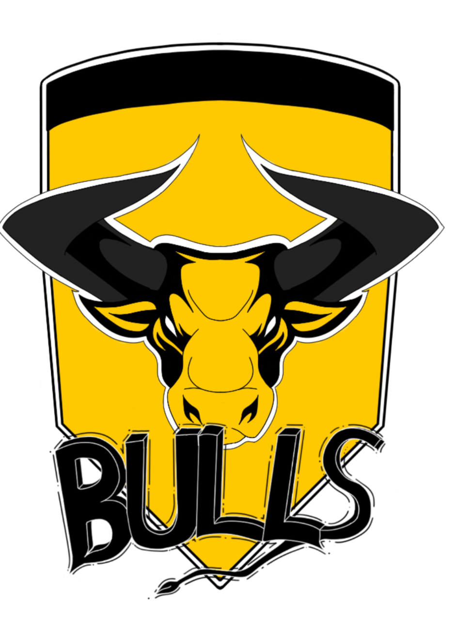GSI Bulls Basketball