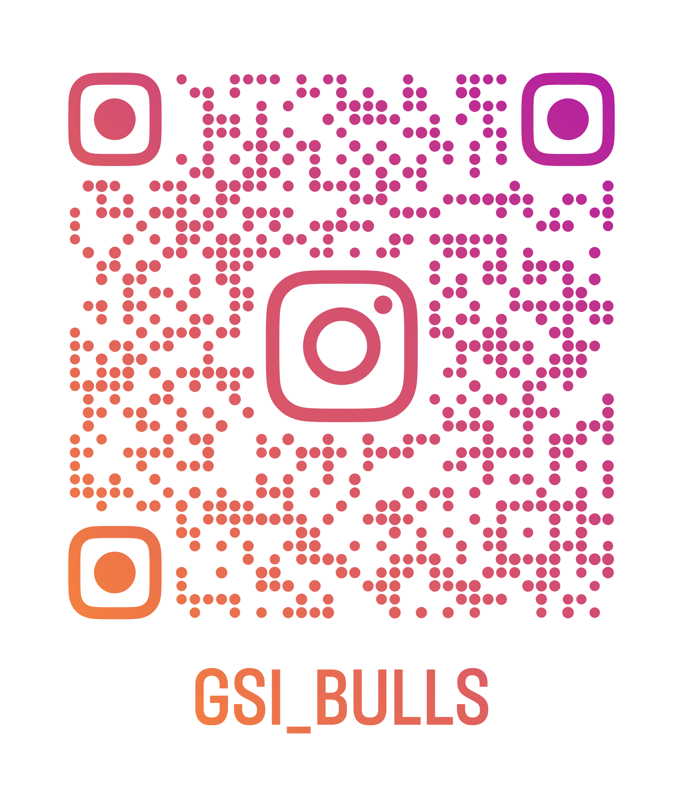 Insta gsi bulls
